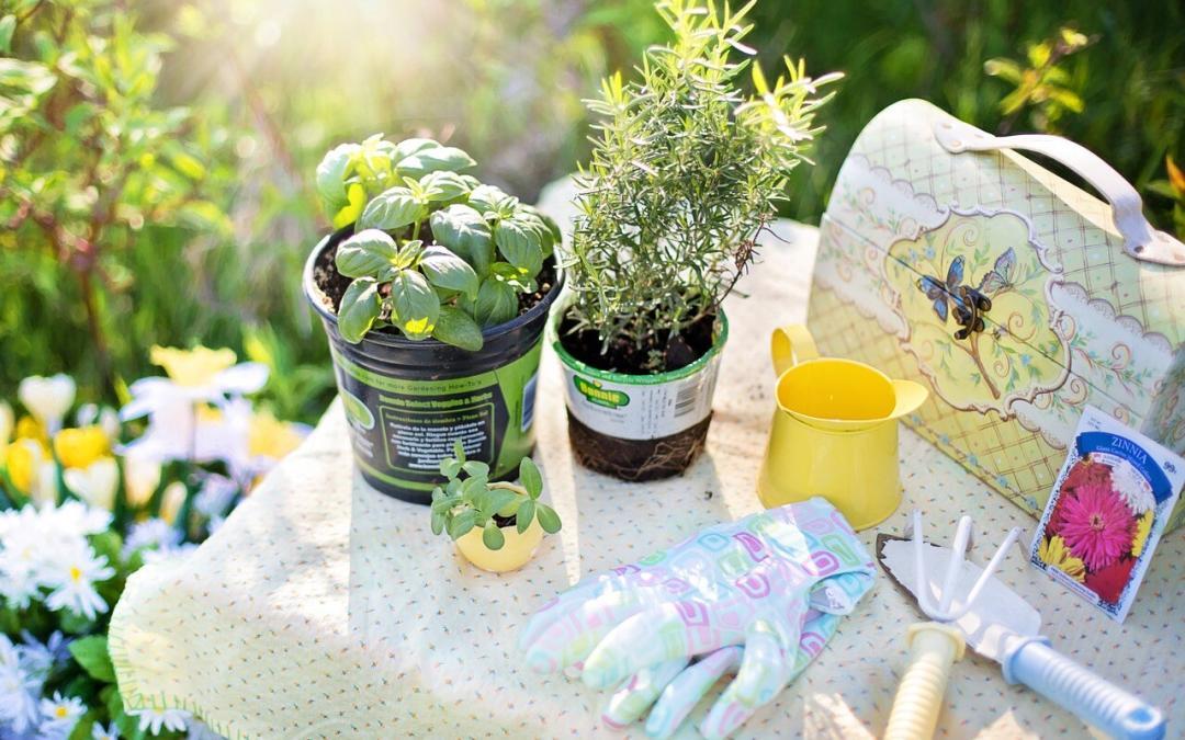Great Gifts for Gardeners